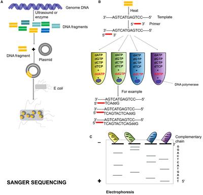 Advances in Metagenomics and Its Application in Environmental Microorganisms